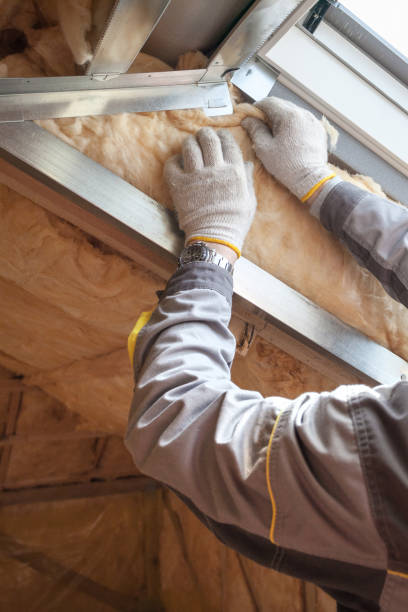 Best Blown-in Insulation  in Wautoma, WI
